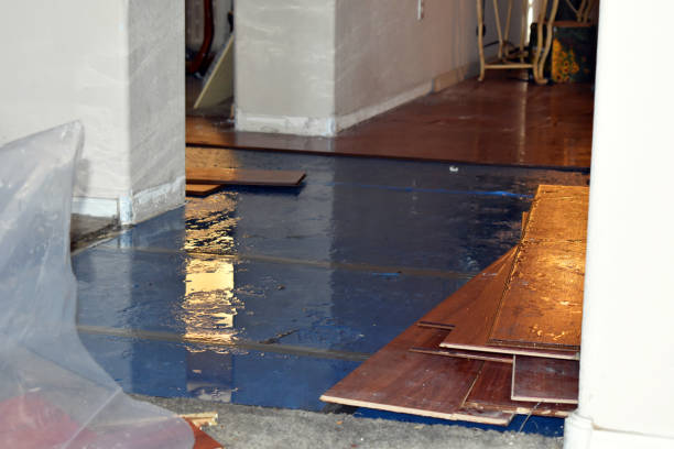Professional Burst Pipe Cleanup technician working in Homer, GA